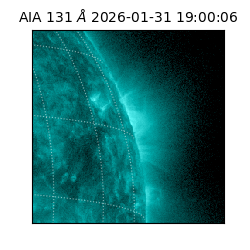 saia - 2026-01-31T19:00:06.622000