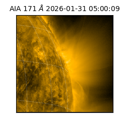 saia - 2026-01-31T05:00:09.350000