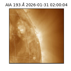 saia - 2026-01-31T02:00:04.846000