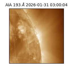 saia - 2026-01-31T03:00:04.843000