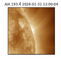 saia - 2026-01-31T12:00:04.843000