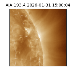 saia - 2026-01-31T15:00:04.843000