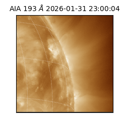 saia - 2026-01-31T23:00:04.843000