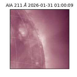saia - 2026-01-31T01:00:09.629000