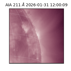saia - 2026-01-31T12:00:09.626000