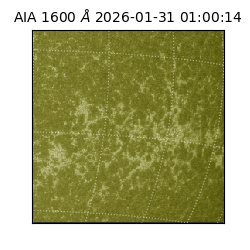 saia - 2026-01-31T01:00:14.125000