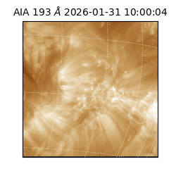 saia - 2026-01-31T10:00:04.843000