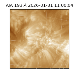 saia - 2026-01-31T11:00:04.843000