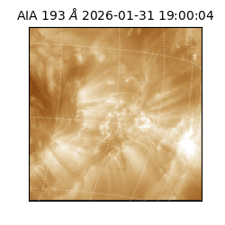 saia - 2026-01-31T19:00:04.843000