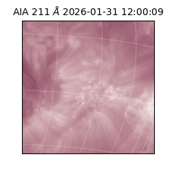 saia - 2026-01-31T12:00:09.626000