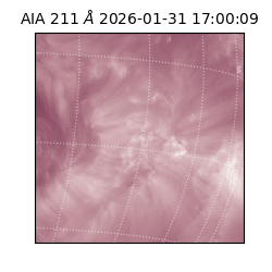 saia - 2026-01-31T17:00:09.622000