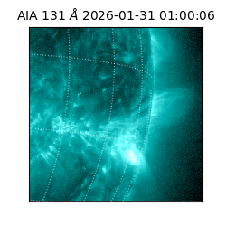saia - 2026-01-31T01:00:06.622000