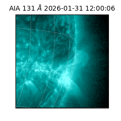 saia - 2026-01-31T12:00:06.623000