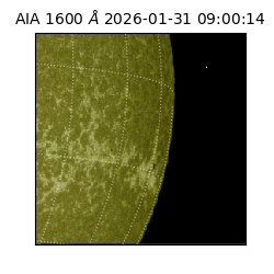 saia - 2026-01-31T09:00:14.125000