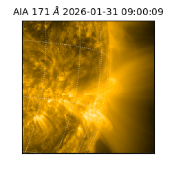 saia - 2026-01-31T09:00:09.350000