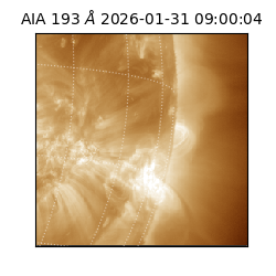 saia - 2026-01-31T09:00:04.843000
