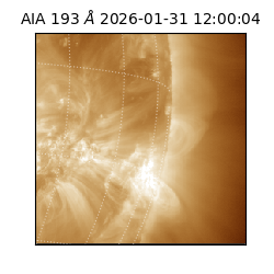 saia - 2026-01-31T12:00:04.843000