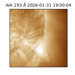 saia - 2026-01-31T19:00:04.843000