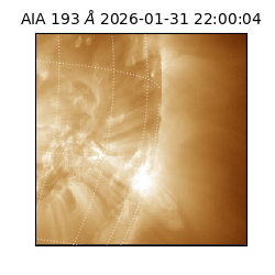 saia - 2026-01-31T22:00:04.843000