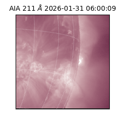 saia - 2026-01-31T06:00:09.633000