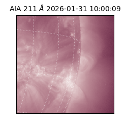 saia - 2026-01-31T10:00:09.622000