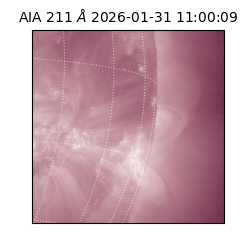 saia - 2026-01-31T11:00:09.626000
