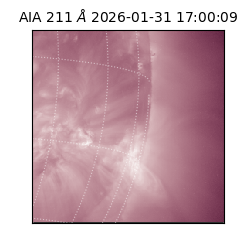 saia - 2026-01-31T17:00:09.622000