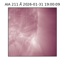 saia - 2026-01-31T19:00:09.626000
