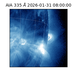 saia - 2026-01-31T08:00:00.625000