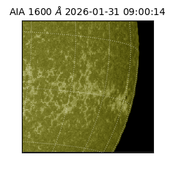 saia - 2026-01-31T09:00:14.125000