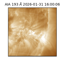 saia - 2026-01-31T16:00:06.936000