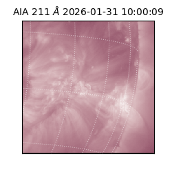 saia - 2026-01-31T10:00:09.622000