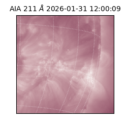 saia - 2026-01-31T12:00:09.626000
