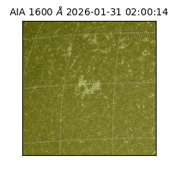 saia - 2026-01-31T02:00:14.126000