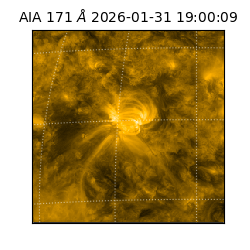 saia - 2026-01-31T19:00:09.350000