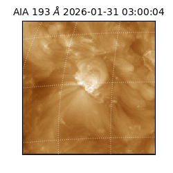 saia - 2026-01-31T03:00:04.843000