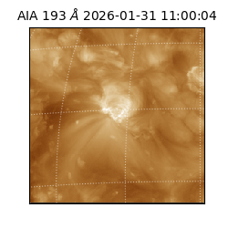 saia - 2026-01-31T11:00:04.843000
