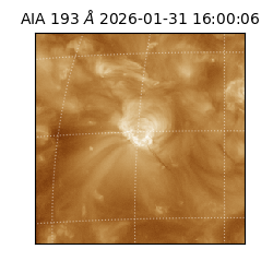saia - 2026-01-31T16:00:06.936000