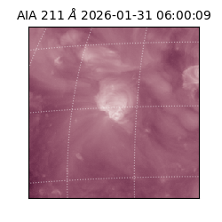 saia - 2026-01-31T06:00:09.633000