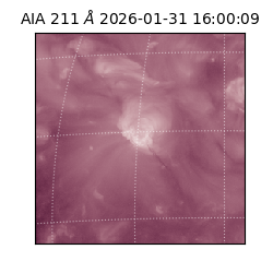 saia - 2026-01-31T16:00:09.626000