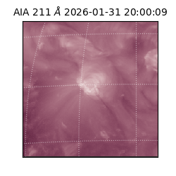 saia - 2026-01-31T20:00:09.626000