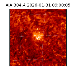 saia - 2026-01-31T09:00:05.133000