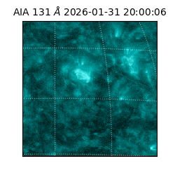 saia - 2026-01-31T20:00:06.622000