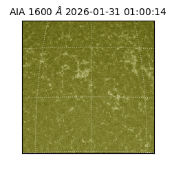 saia - 2026-01-31T01:00:14.125000