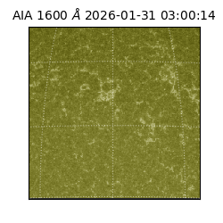 saia - 2026-01-31T03:00:14.126000
