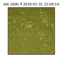 saia - 2026-01-31T12:00:14.126000