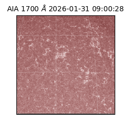 saia - 2026-01-31T09:00:28.717000