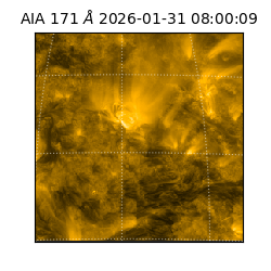 saia - 2026-01-31T08:00:09.350000