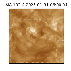 saia - 2026-01-31T06:00:04.843000