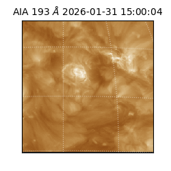 saia - 2026-01-31T15:00:04.843000
